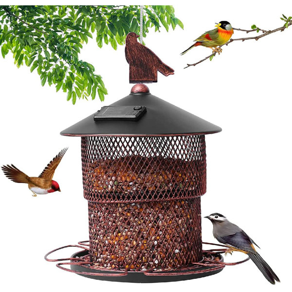 Arlmont & Co. Solar Bird Feeder For Wild Birds,Squirrel Proof Metal